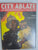 City Ablaze: Life With the World's Busiest Fire-Fighters by Lloyd-Elliott, Martin