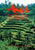 Asia - The Beautiful Cookbook - Jacki Passmore - Authentic Recipes from the Regions of Asia