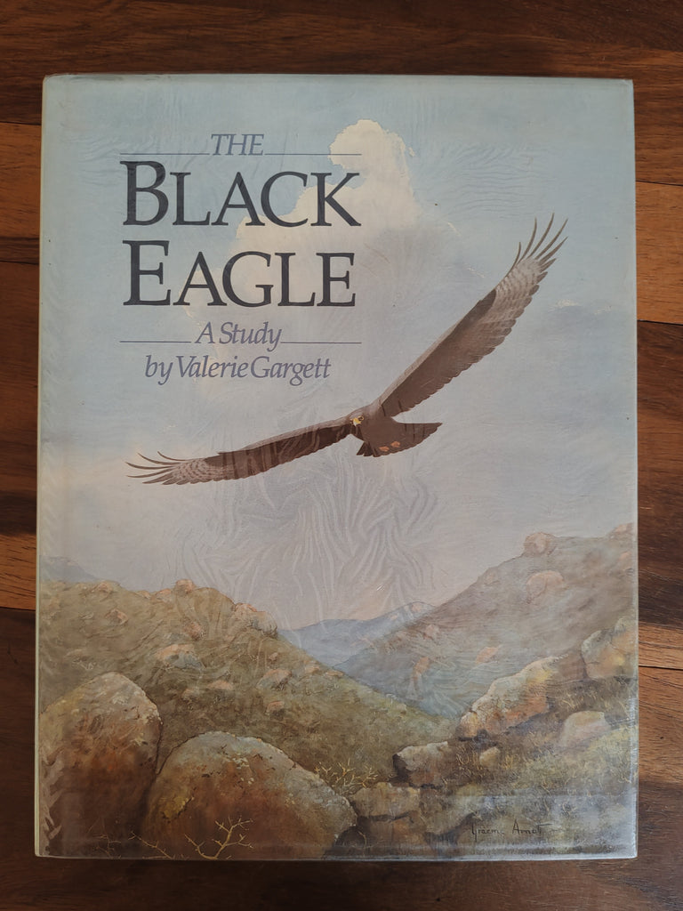 The Black Eagle - A Study - Valerie Gargett
