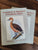 Gamebirds & Waterfowl of Southern Africa - Finch-Davies (C.G.) illus. &amp; Horsbrugh (P.) text