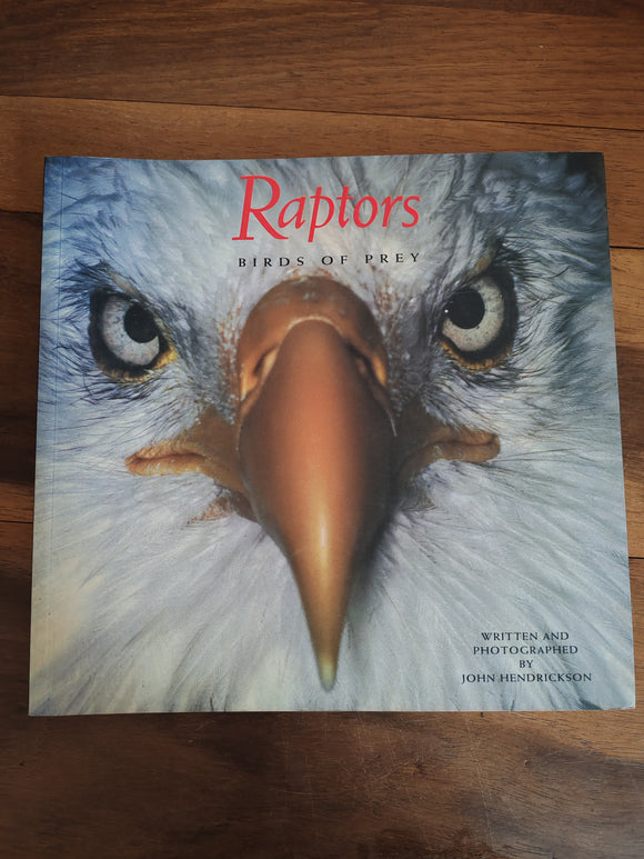 Raptors Birds of Prey - Written and Photographed by John Hendrickson