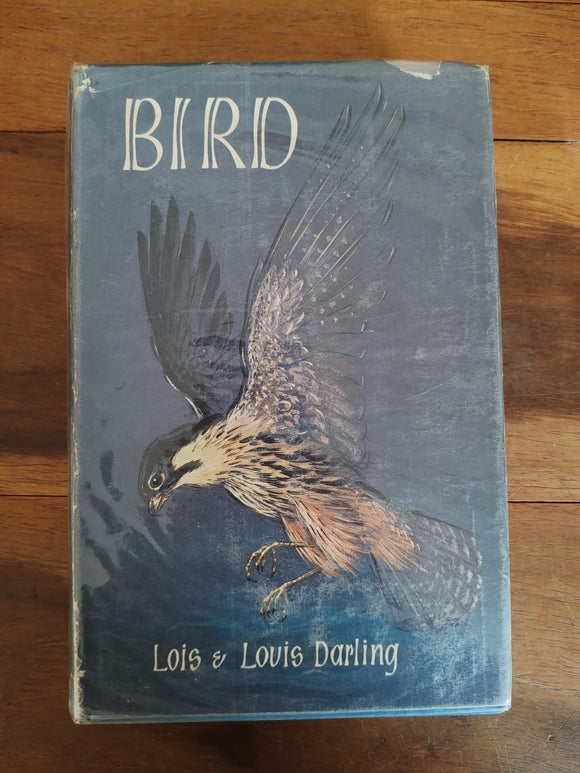 Bird - Lois & Louis Darling