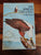 The African Fish Eagle - Leslie Brown