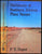 Dictionary of Southern African Place Names Author: P.E. Raper