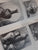 W.H. Coetzer: Stillewes : Still Lifes by Coetzer, W. H-Standard Collector's Edition nr 425/1000