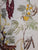 Trees & shrubs of the Witwatersrand, Magaliesberg & Pilanesberg by Van Gogh, Joan