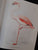 The Birds of Southern Africa Finch-Davies, Claude Gibney (artist), Alan Kemp and others (text)