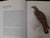 The Birds of Prey of Southern Africa Kemp, Dr. Alan C. (Text) + Finch-Davies, Claude Gibney (Illustrations)