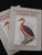 Gamebirds & waterfowl of southern Africa: A collection of 68 water-colours by Finch-Davies, Claude Gibney