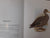 Gamebirds & waterfowl of southern Africa: A collection of 68 water-colours by Finch-Davies, Claude Gibney