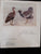 The biography of Claude Gibney Finch-Davies, 1875-1920: Observer, student and highly skilled illustrator of Southern African birds by Kemp, A. C