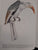 The Bird Paintings of C.G. Finch-Davies by Finch-Davies, Claude Gibney
