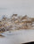 Cora Coetzees Namibia by Coetzee, Cora