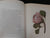 More Cape Flowers by a Lady. The Paintings of Arabella Roupell. Bird, Allan (Text)