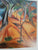 Irma Stern: 'n Fees Van Kleur (Afrikaans Edition) by Arnold, M.