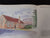 Victorian Pietermaritzburg by Dr. Ruth Gordon(The beautiful Victorian and historic buildings depicted in watercolours)