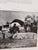 Wenning by Boonzaier, Gregoire ; Lipshitz, I Lippy