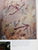 The Rock Art of South Africa by  A. R Willcox