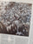 Die Angloboere-Oorlog, 1899-1902 (Heritage series, 19th century) by Pretorius, F