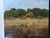 A Foothold in Africa-Jock Safari Lodge by the Caleo Foundation