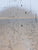 South West Africa: Etosha Image by H. Strassen