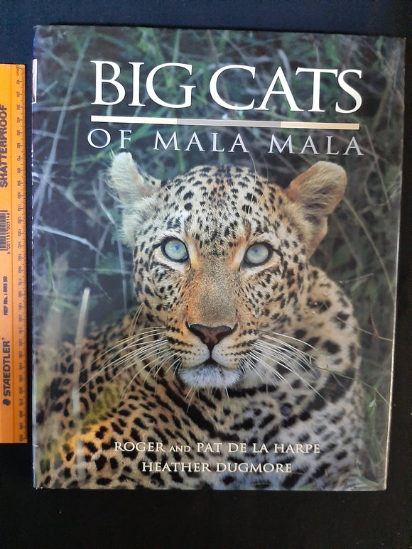 Big Cats of Mala Mala by Harpe, Roger De La