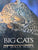 Big Cats of Mala Mala by Harpe, Roger De La