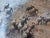 A day in the life of an African elephant by Hall-Martin, Anthony