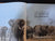 A day in the life of an African elephant by Hall-Martin, Anthony