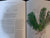 Cycads of Africa by Goode, Douglas