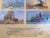 David Shepherd: My Painting Life by Shepherd, David