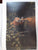 David Shepherd: My Painting Life by Shepherd, David