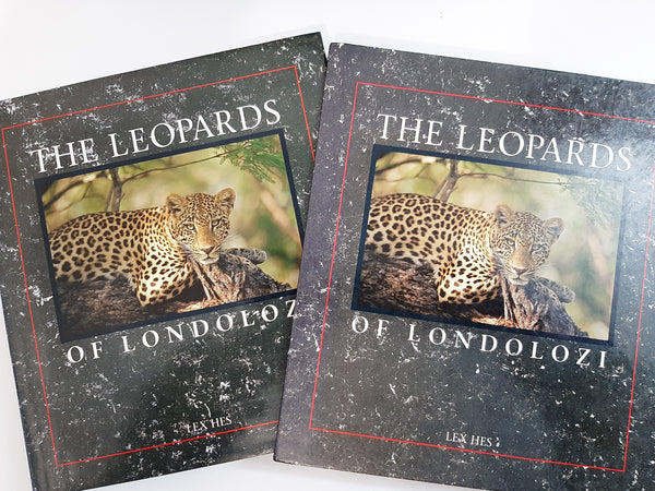 The Leopards of Londolozi by Hes, Lex - housed in a beautiful Slipcase