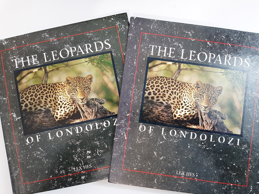 The Leopards of Londolozi by Hes, Lex - housed in a beautiful Slipcase
