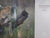 The Leopards of Londolozi by Hes, Lex - housed in a beautiful Slipcase