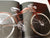 Ducati: The Official Racing History by Masetti, Marco