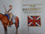 The Regiment: A History and the Uniforms of the British South Africa Police by Hamley, Richard