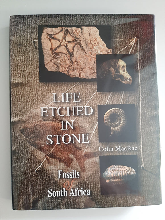 Life etched in stone: Fossils of South Africa by MacRae, Colin