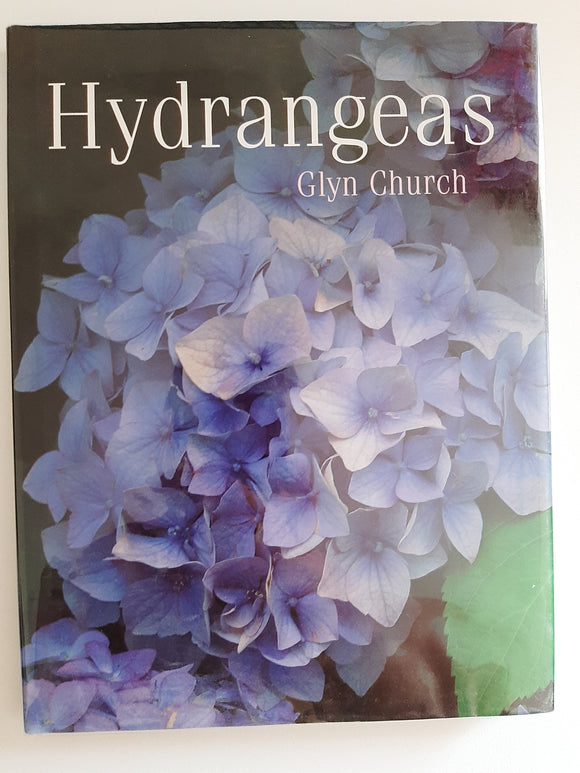 Hydrangeas by Church, Glyn