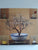The African Bonsai Collection: An Illustrated Guide by Bader, Jann