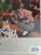 A Passion for Flowers by Roehm, Carolyne