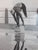 Life and Soul: Portraits of Women Who Move South Africa by Turok, Karina