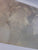 African Wild Life in Art: Master Painters of the Wilderness by David Tomlinson