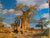 Remarkable Trees of the World by Pakenham, Thomas