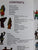 Noor's Story My Life in District Six by Noor Ebrahim