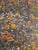 Namaqualand - Garden of the Gods by Patterson, Freeman