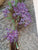 Namaqualand - Garden of the Gods by Patterson, Freeman