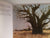 Via SWA by Parker, Bill text in English/German and Afrikaans