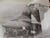 The World's Great Fighters From 1914 To The Present Day By Robert Jackson