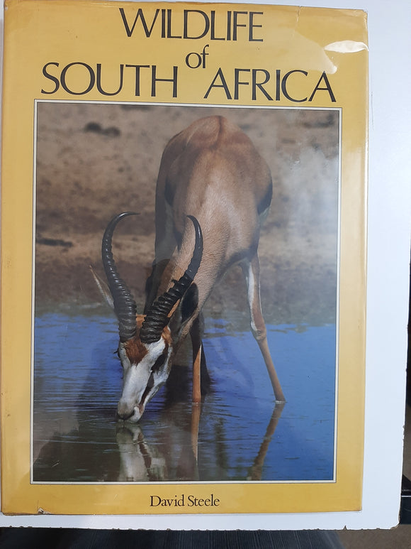 Wildlife Of South Africa By David Steele